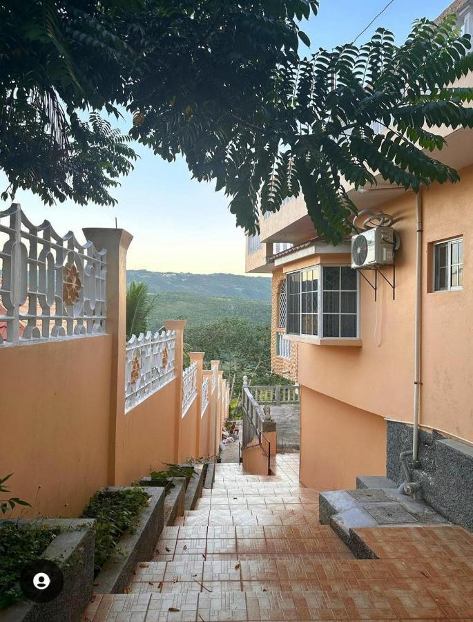 Lion'S View Bed & Breakfast Mandeville Exterior foto