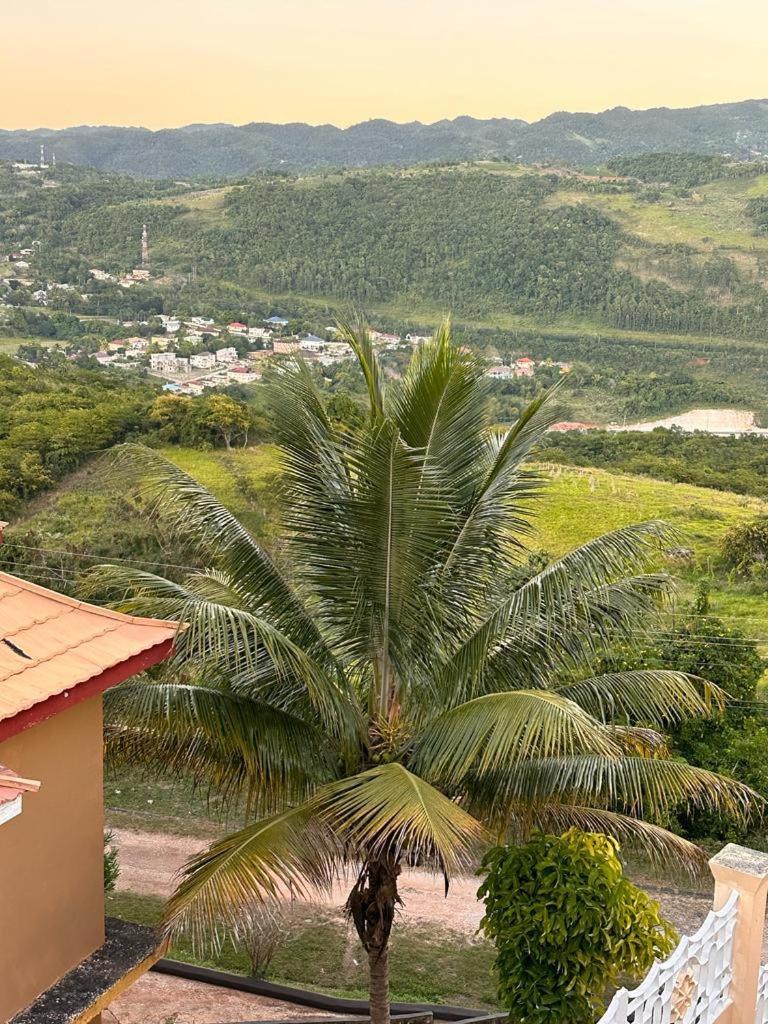 Lion'S View Bed & Breakfast Mandeville Exterior foto