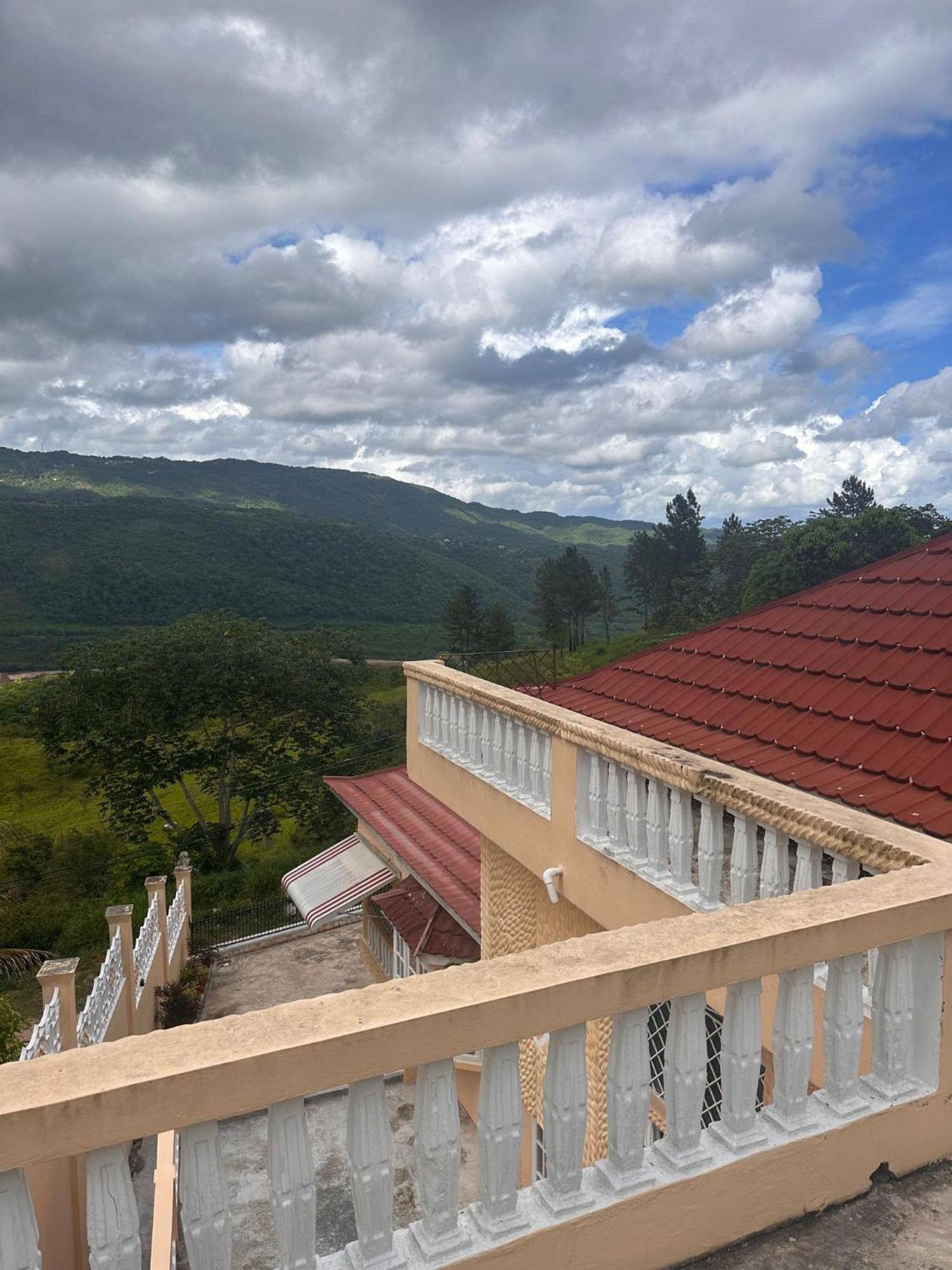 Lion'S View Bed & Breakfast Mandeville Exterior foto
